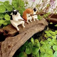 もねこっこ様 リクエスト 3点 まとめ商品