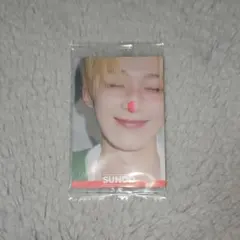 【ノーマル】　ENHYPEN ウエハース　シール　ソヌ