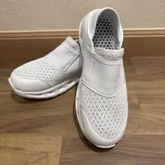 Item thumbnail for item 445d29a5-e0e3-456b-805e-dc0c77169042