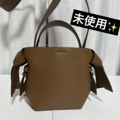 ⭐️未使用⭐️Acne Studios ムスビ　ミニショルダーバッグ　2wayのサムネイル