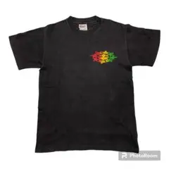 古着 Hanes HEAVYWEIGHT PARASAILING Tシャツ