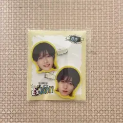 中村嶺亜 歴代アクスタ、髪留めクリップ、缶バッジ、ラバーバンド シール 中村嶺亜 歴代アクスタ、髪留めクリップ、缶バッジ、ラバー