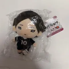 ハイキュー!! 木葉秋紀 にとたん ぬいぐるみ - メルカリ
