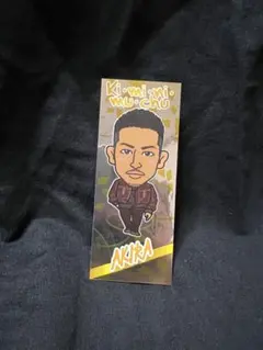 AKIRA 千社札 EXILE Ki・mi・ni・mu・chu