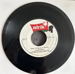 Barry Biggs / Wide Awake In A Dream