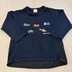 プティマイン 100