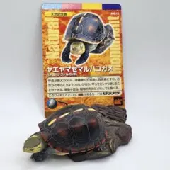 2025年最新】週刊日本の天然記念物の人気アイテム - メルカリ