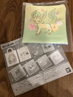 ポケモン イーブイ進化　チャームポーチセット
