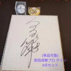 2026年最新】サイン 色紙 宮田の人気アイテム - メルカリ
