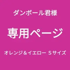 専用ページ新品■エレアリー ナイトブラ２枚組 ノンワイヤー オレンジ＆イエローＳ