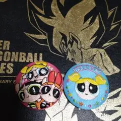 パワーパフガールズ　刺繍缶バッジ　2個セット