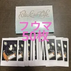 &TEAM andteam チェキ トレカ BacktoLife フウマ