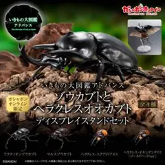 いきもの大図鑑アドバンス　ゾウカブトとヘラクレスオオカブト　ディスプレイスタンド