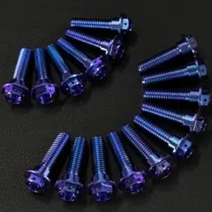 16本 M8×30mm 64チタン ブレーキ ディスク ボルト GP a948 - メルカリ
