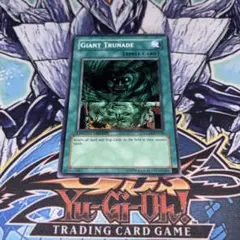 第8版 foil 高潮のクラーケン 英語 1枚 MTG - メルカリ