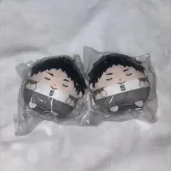 ハイキュー!! くじメイト ぬいくじ E賞 てのりんずコレクション 赤葦京治