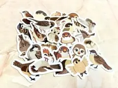 Item thumbnail for item a635bede-88f4-4171-b624-cf3cb4384408