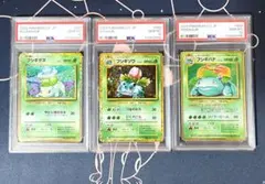 【PSA10 連番】フシギバナ進化ライン　ポケモンカード クラシック