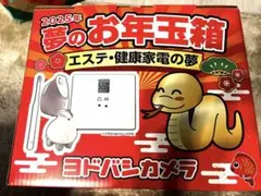 ヨドバシカメラ　お年玉箱　エステ健康家電の夢 福袋2022】スゴイスゴイとは聞いてたけどヨドバシの『エステ・健康家電