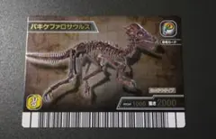 2026年最新】恐竜キング パキケファロサウルスの人気アイテム - メルカリ