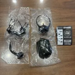 いきもの大図鑑 かぶとむし10 コーカサスオオカブト（改） 未開封