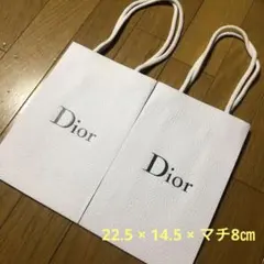 Dior ショップ袋　2枚セット