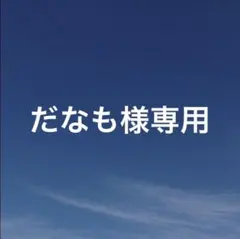 だなも様 リクエスト 2点 まとめ商品