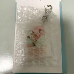 イマジニングザマジック ベリミニキーチェーン デール