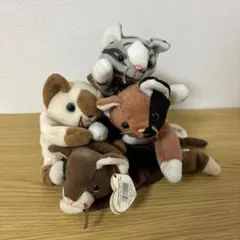 2025年最新】ビーニーベイビーズ ねこの人気アイテム - メルカリ