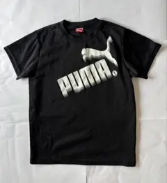 PUMA キッズ Tシャツ 150cmのサムネイル