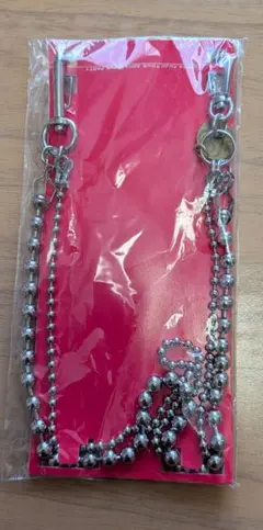 ☆*⌒*☆藤井フミヤツアーグッズ　チェーン☆*⌒*☆
