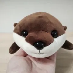 新江ノ島水族館 ハッピーマリン カワウソぬいぐるみ - メルカリ