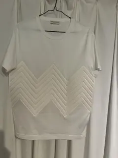 Bottega Veneta Tシャツ ボンディングデザイン 【美品】のサムネイル