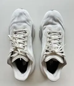 THE NORTH FACE アルタメサ500RD 27.0cmのサムネイル