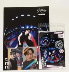 StrayKids チャンビン KARMA特典