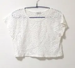 earth music&ecology ホワイトレースクロップドトップスFサイズ