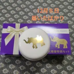 2025年最新】クリスタルジェミー 象の足の人気アイテム - メルカリ