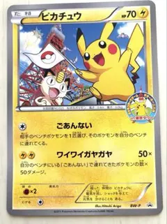 2026年最新】ポケモンカードゲームサマーカーニバルin東京タワーの人気
