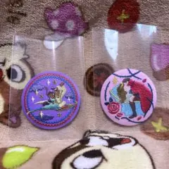 ディズニー 刺繍缶バッジ アラジン オーロラ姫 ビスケット 2点セット