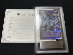 ユニオンアリーナ ARS10 2周年記念シリアルアクションポイントAP 8889