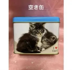 Item thumbnail for item 511e331a-d7e8-45f4-a7af-54f2ec81efce