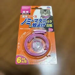 Item thumbnail for item a96a5e2c-0fb7-4593-bed2-4b226b1cbae0