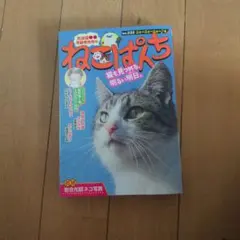 ねこぱんち No.222 少年画報社 - メルカリ