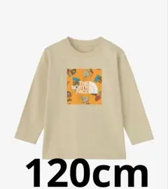 新品 THE NORTH FACE ロングスリーブグラフィックスクエアロゴティー