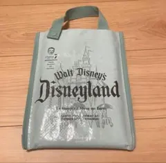 東京ディズニーリゾート ウォルトディズニー生誕100周年 レジャーシート 廃盤