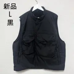 Item thumbnail for item 6a1e536a-55fa-4168-9f2d-815ba2fc55d0