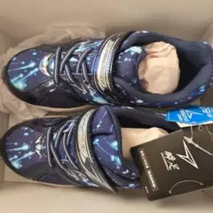 SJC 8930 ネービー 22.0E スニーカー