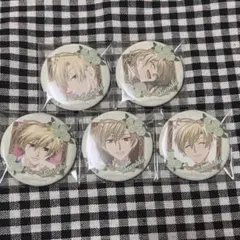 桜蘭高校ホスト部 推しキャラバッジコレクション 缶バッジ 須王環 環 5点セット