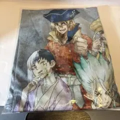 Dr.STONE ドクターストーン Tシャツ　Lサイズ　ハッピーサマーバッグ