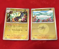 포켓몬 カード シビビール シビシラス 2장 세트